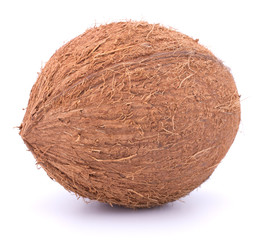 Coconuts isolated on white background