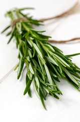 Small bunch of fresh rosemary, closeup