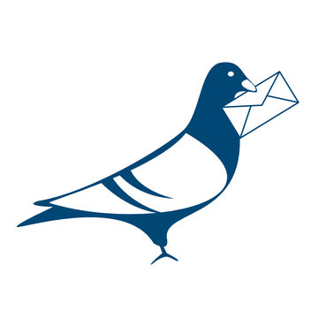 Brieftaube Bluebird