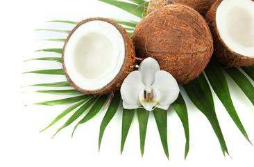 Fototapeta na wymiar Coconuts with leaves and flower, isolated on white