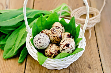 Eggs quail in a white basket with sorrel on the board