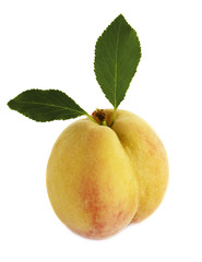 One ripe fresh peach with leaves on a white background