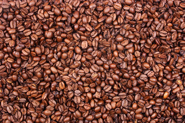 Coffee beans - Small
