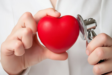 Doctor examining a heart