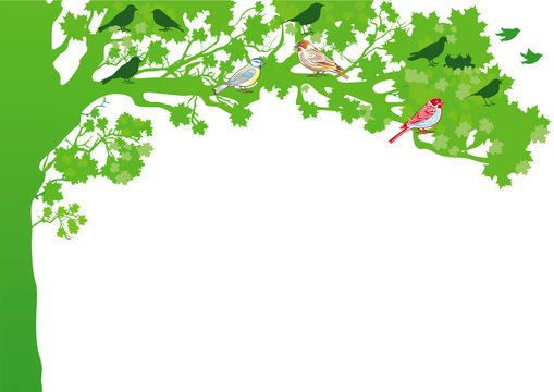 V&ouml;gel auf dem Baum