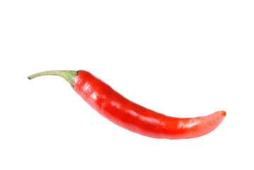 Red chilli pepper isolated on white background