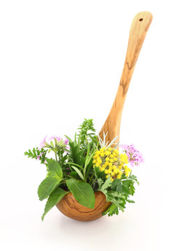 Fresh herbs in wooden spoon