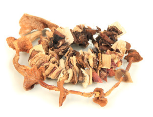Dried mushrooms on string isolated on white
