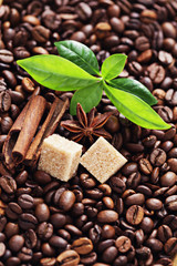 coffee beans