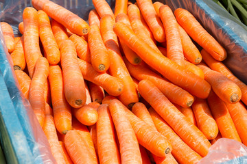 Frische Karotten in Auslage