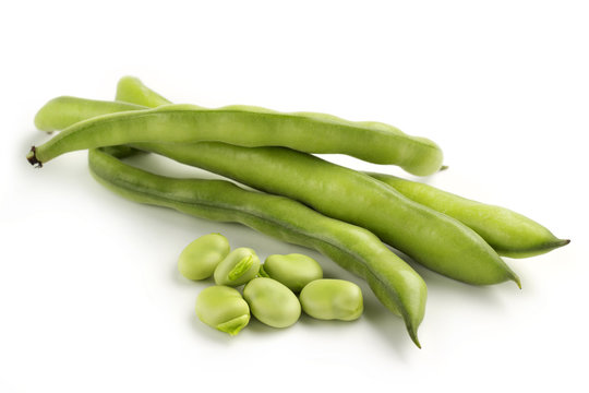 broad bean pods on white background