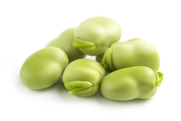 pile of fava beans