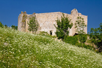 Fototapeta na wymiar Slunj old fortress in green nature
