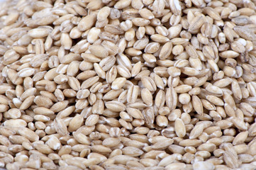 Pearl barley