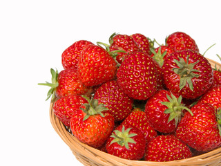 Erdbeeren - Fragaria