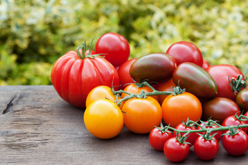 bunte tomaten