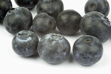 blueberries on the white background