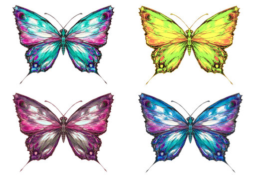 Butterfly set watercolor painted