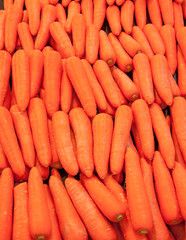 fresh carrot in the market