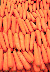fresh carrot in the market