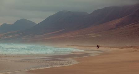 people on the beach