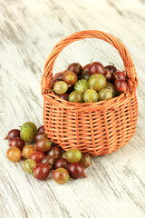 Fresh gooseberries in wicker basket on table close-up