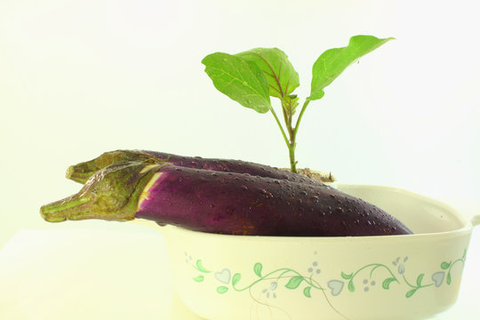 eggplant with water drops in bowl