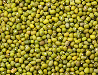 Mung bean close up