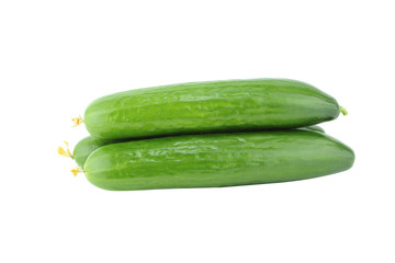 Fresh Cucumber