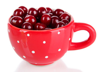 Sweet cherry in cup isolated on white