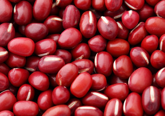 Adzuki Red Bean close up