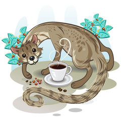 Civet Coffee Kopi Luwak