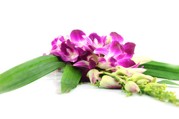 Bouquet of purple orchids.
