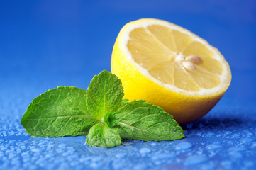 Fresh green mint