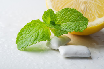 gums with mint