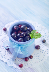 black currant