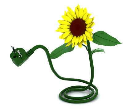 suflower and cable energy