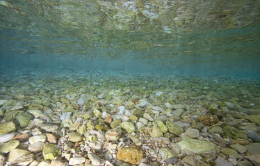 Underwater world