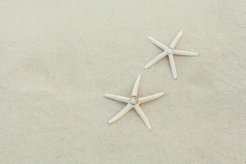 Fototapeta na wymiar Wedding rings with starfish on a sandy beach.