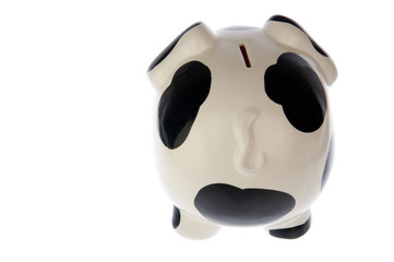 Pig in black white cow print, from backside - 53825960