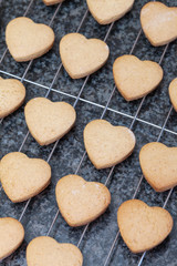 Heart shaped cookies fresh from the oven, cooling off on metal g