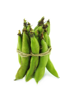 broad bean pods and beans