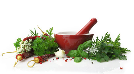 Red porcelain mortar and pestle with fresh herbs