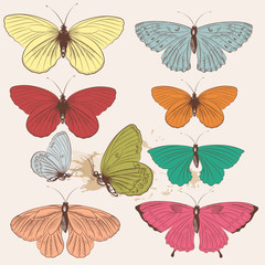 Set of vector hand drawn butterflies in vintage style