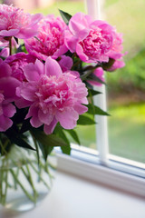 pink peonies on window sill