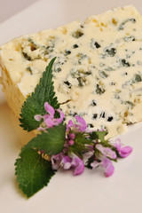 Blue Cheese Gorgonzola