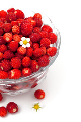 wild strawberries in a glass bowl