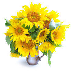 Bouquet of sunflowers are on a white background