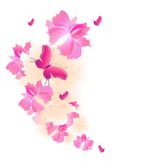 flowers card vector
