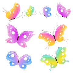 butterfly,butterflies